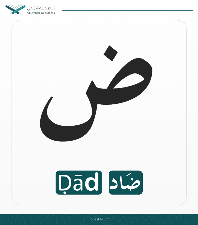 15- Arabic Alphabet Letters - Ḍād