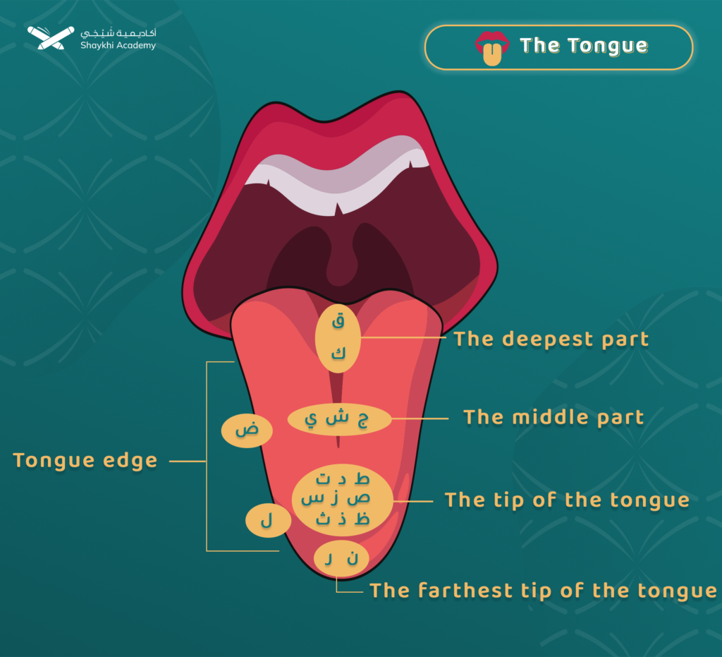 tongue info1