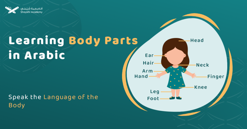 body parts in arabic