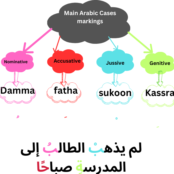 main Arabic case markings
