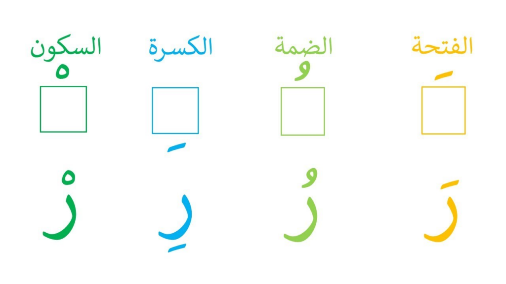 Letter Raa – ر With Fatha ( َ  )