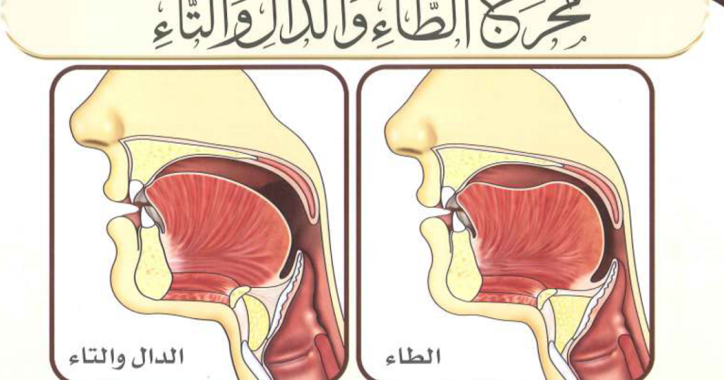 Common Mistakes related to letter Taa